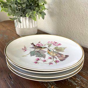 Set of 4 Debra Bavarian Bird Plates